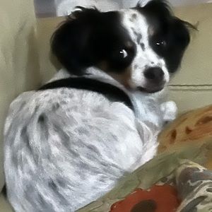 Meet your Posher, Miriam